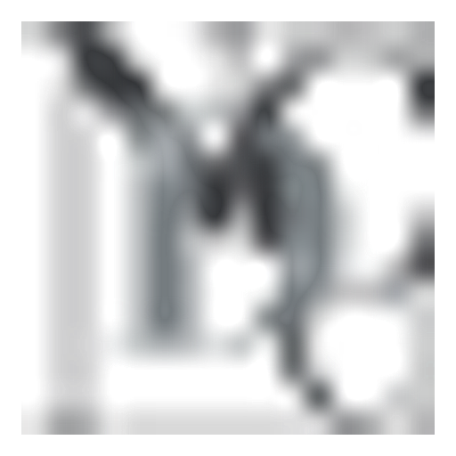 NDCC logo